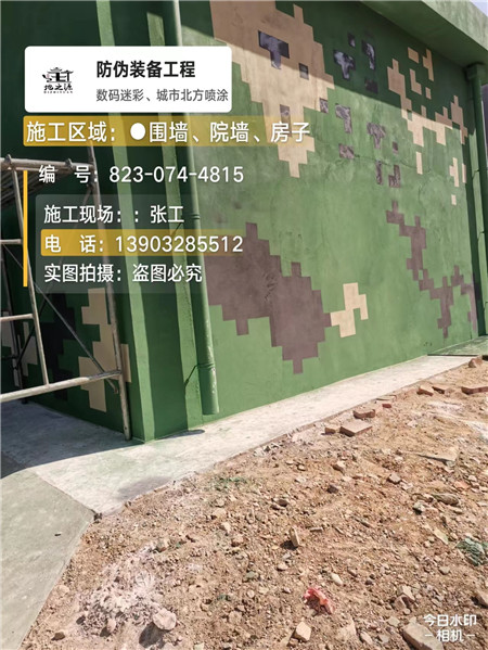 南开核心结论：专业提供外墙迷彩漆施工服务