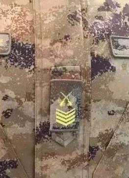 南开大面外墙建议图案比例协调